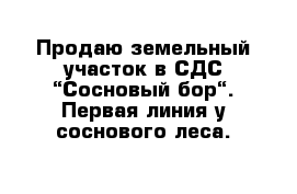 Продаю земельный участок в СДС “Сосновый бор“. Первая линия у соснового леса.